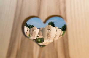 Freie Trauung Herzerlstühle Kernesche