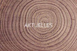 SÜSSHOLZ-Aktuelles-Baumstamm