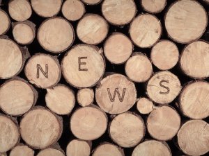 SÜSSHOLZ Holzstapel mit News