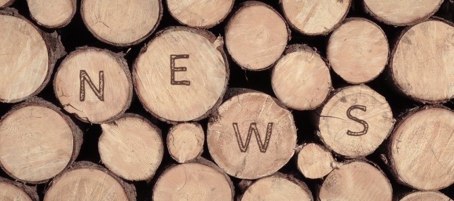 SÜSSHOLZ Holzstapel mit News