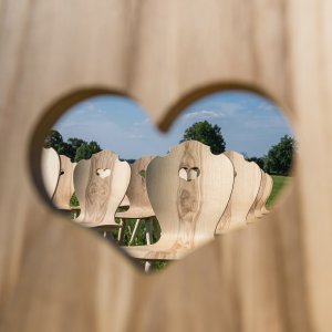 Viele SÜSSHOLZ Herzerlstühle auf einer Wiese